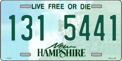 NH license plate 1315441