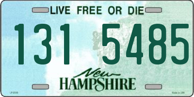 NH license plate 1315485