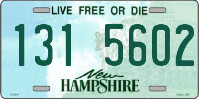 NH license plate 1315602