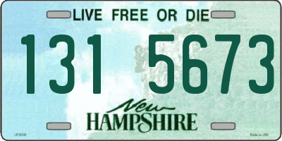 NH license plate 1315673