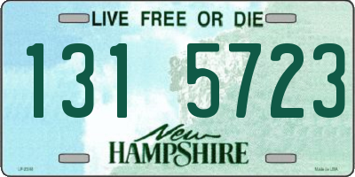 NH license plate 1315723