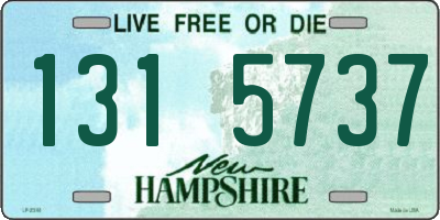 NH license plate 1315737