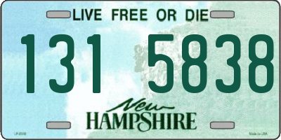 NH license plate 1315838