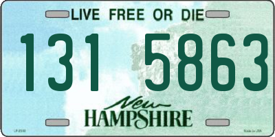 NH license plate 1315863