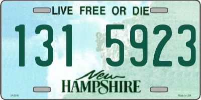 NH license plate 1315923