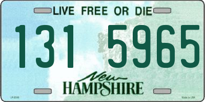 NH license plate 1315965