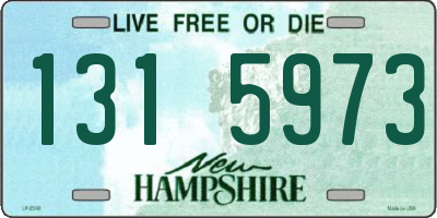 NH license plate 1315973