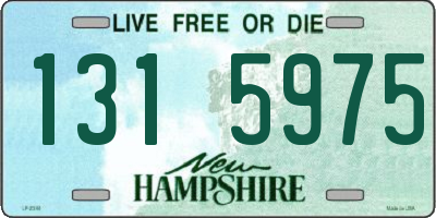 NH license plate 1315975