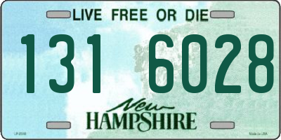 NH license plate 1316028