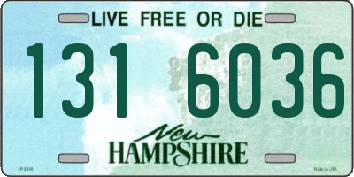 NH license plate 1316036