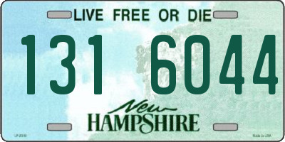 NH license plate 1316044