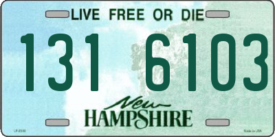 NH license plate 1316103