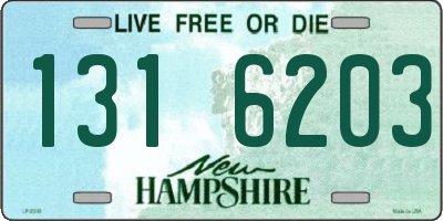 NH license plate 1316203