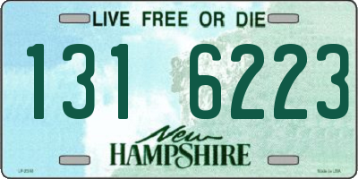 NH license plate 1316223
