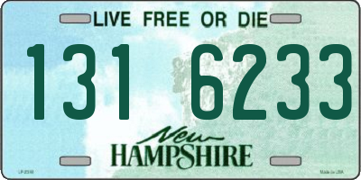 NH license plate 1316233