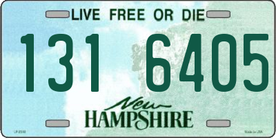 NH license plate 1316405