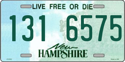 NH license plate 1316575