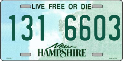 NH license plate 1316603