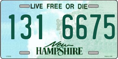 NH license plate 1316675