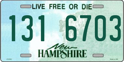 NH license plate 1316703