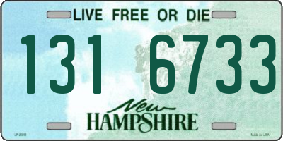 NH license plate 1316733