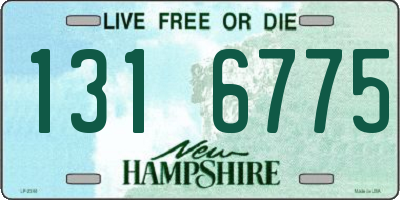 NH license plate 1316775