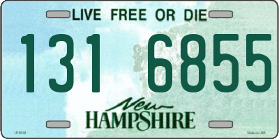 NH license plate 1316855