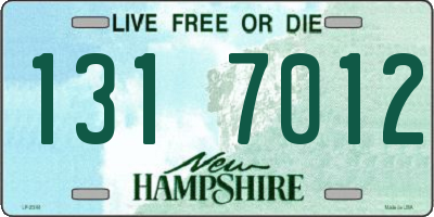 NH license plate 1317012