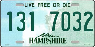 NH license plate 1317032