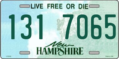 NH license plate 1317065