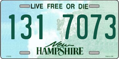 NH license plate 1317073