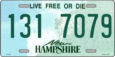 NH license plate 1317079