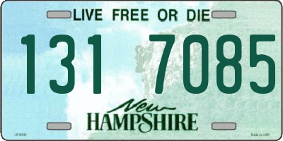 NH license plate 1317085
