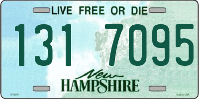 NH license plate 1317095