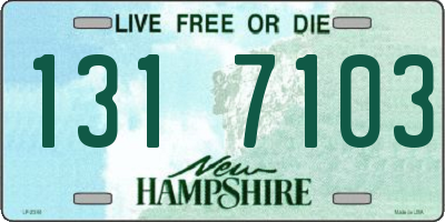 NH license plate 1317103