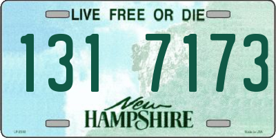NH license plate 1317173