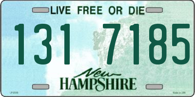 NH license plate 1317185