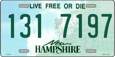 NH license plate 1317197