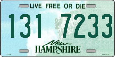 NH license plate 1317233