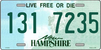 NH license plate 1317235