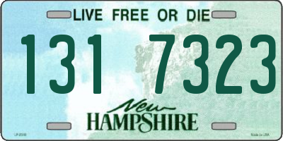 NH license plate 1317323