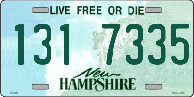 NH license plate 1317335