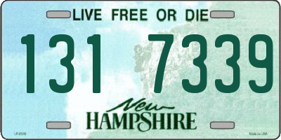 NH license plate 1317339