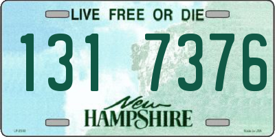 NH license plate 1317376