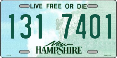 NH license plate 1317401