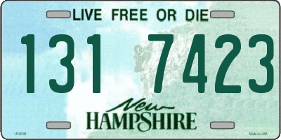 NH license plate 1317423