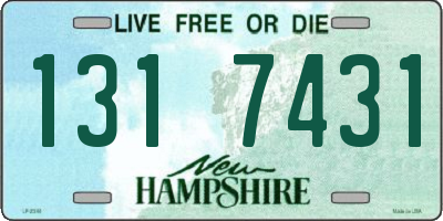 NH license plate 1317431