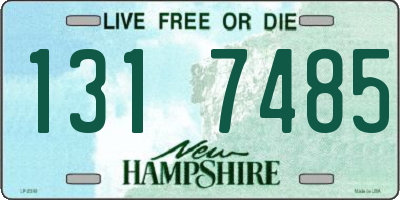 NH license plate 1317485