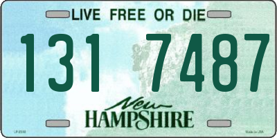 NH license plate 1317487