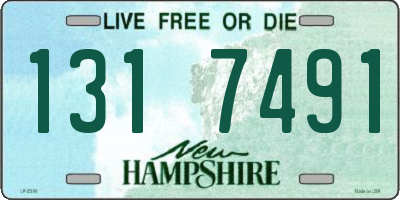 NH license plate 1317491